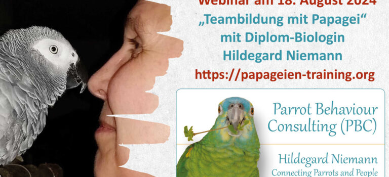 Webinar: Teambildung mit Papagei