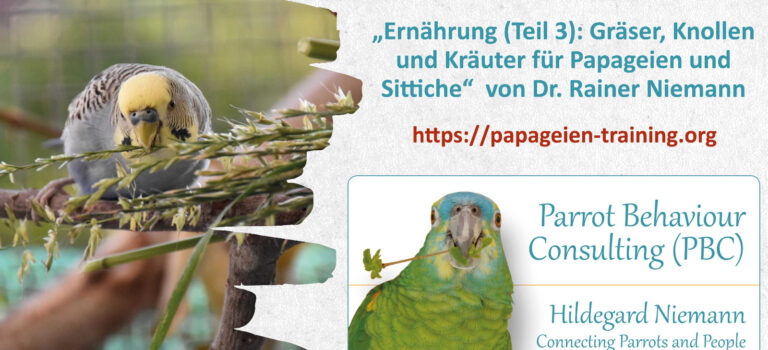 Webinar: Ernährung Teil 3 – Gräser, Knollen und Kräuter für Papageien